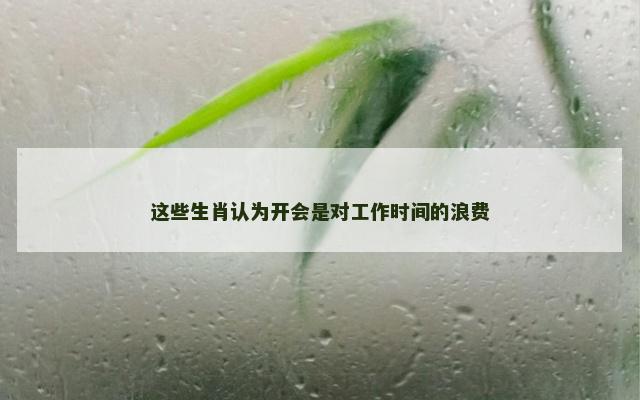 这些生肖认为开会是对工作时间的浪费