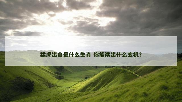 猛虎出山是什么生肖 你能读出什么玄机？