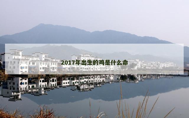 2017年出生的鸡是什么命