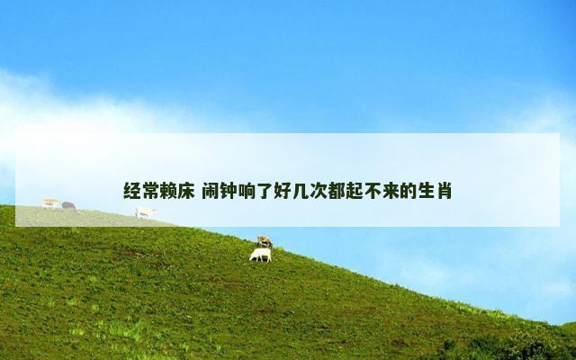 经常赖床 闹钟响了好几次都起不来的生肖