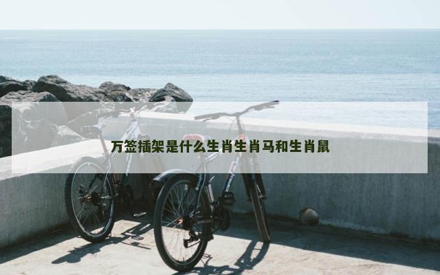 万签插架是什么生肖生肖马和生肖鼠