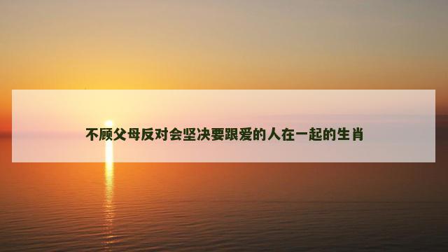 不顾父母反对会坚决要跟爱的人在一起的生肖