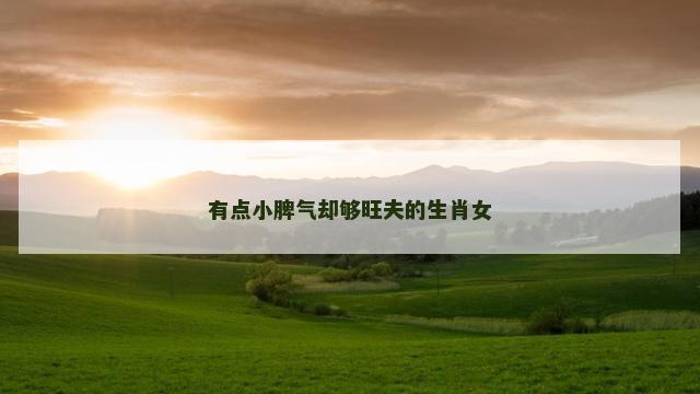 有点小脾气却够旺夫的生肖女