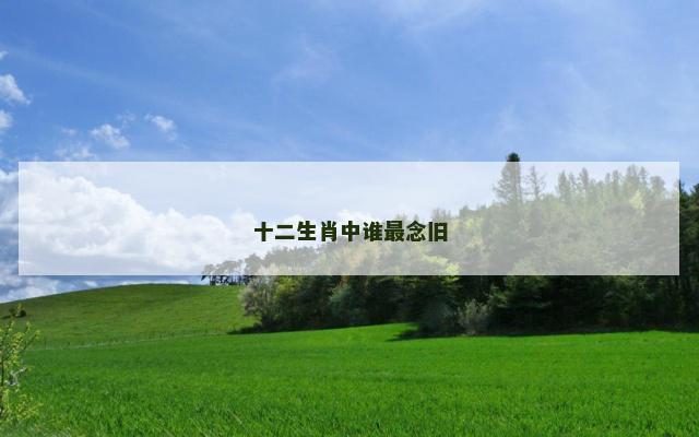 十二生肖中谁最念旧
