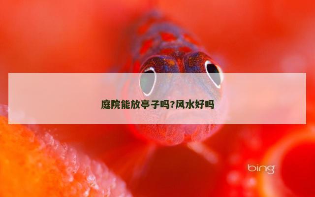庭院能放亭子吗?风水好吗