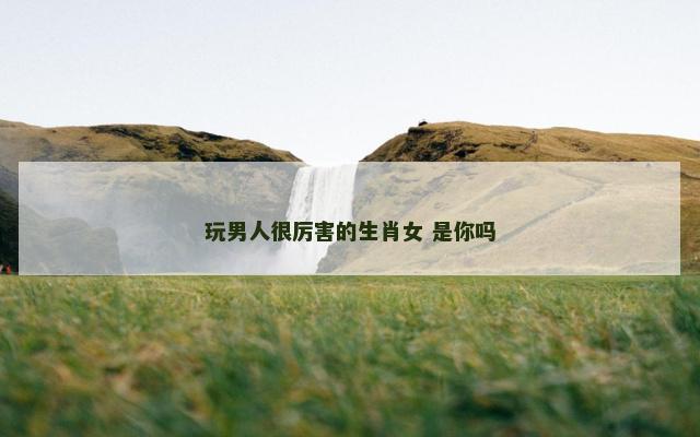 玩男人很厉害的生肖女 是你吗
