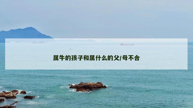 属牛的孩子和属什么的父/母不合