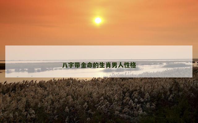 八字带金命的生肖男人性格