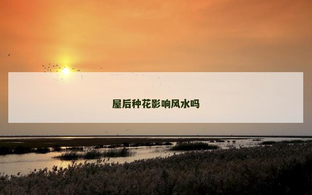 屋后种花影响风水吗
