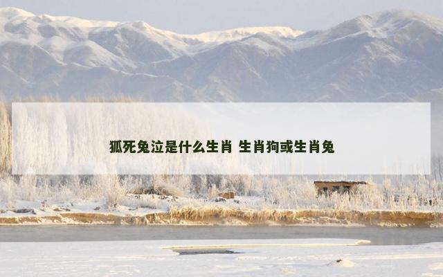 狐死兔泣是什么生肖 生肖狗或生肖兔