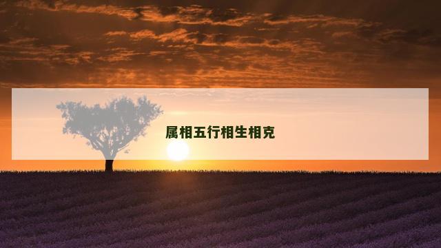 属相五行相生相克