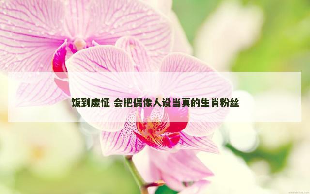 饭到魔怔 会把偶像人设当真的生肖粉丝