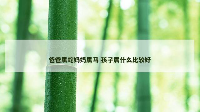 爸爸属蛇妈妈属马 孩子属什么比较好