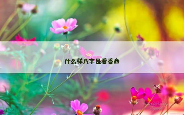 什么样八字是看香命