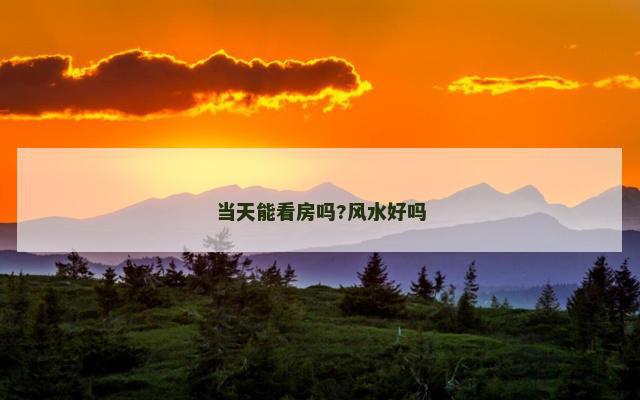 当天能看房吗?风水好吗