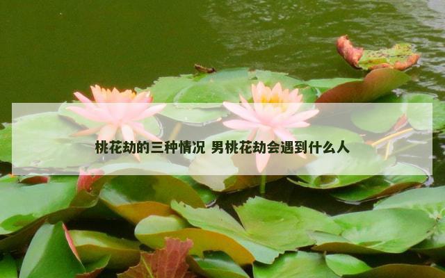 桃花劫的三种情况 男桃花劫会遇到什么人