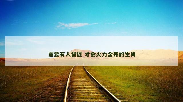 需要有人督促 才会火力全开的生肖