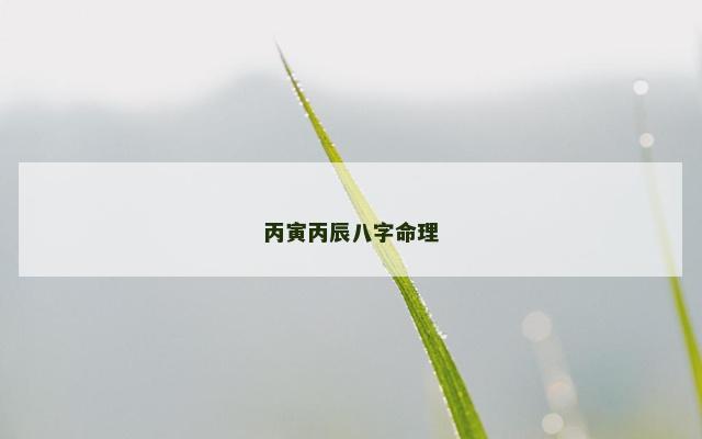 丙寅丙辰八字命理