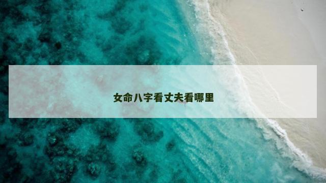 女命八字看丈夫看哪里