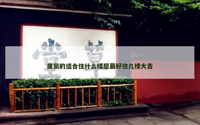 属鼠的适合住什么楼层最好住几楼大吉