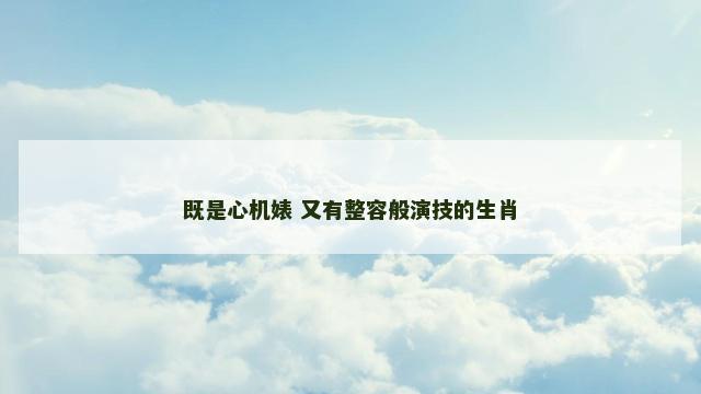 既是心机婊 又有整容般演技的生肖