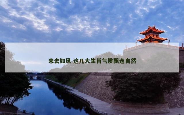 来去如风 这几大生肖气质飘逸自然