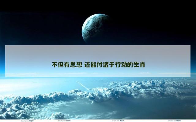 不但有思想 还能付诸于行动的生肖