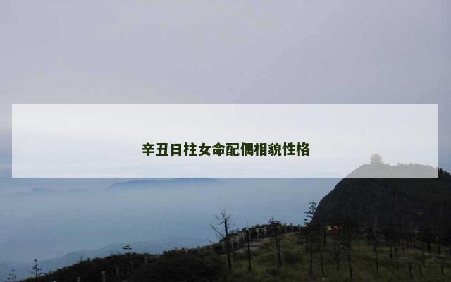辛丑日柱女命配偶相貌性格