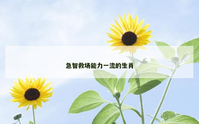 急智救场能力一流的生肖