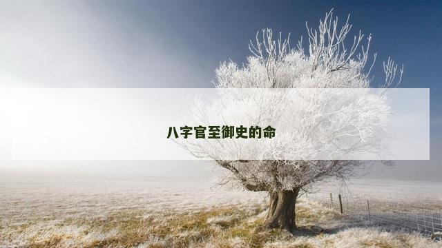 八字官至御史的命
