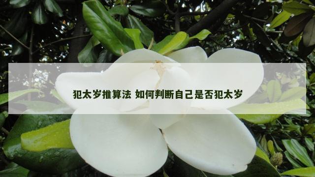 犯太岁推算法 如何判断自己是否犯太岁
