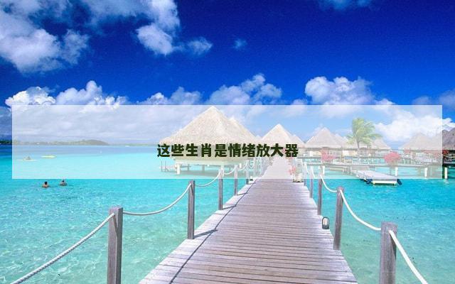 这些生肖是情绪放大器