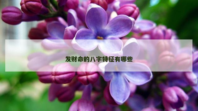 发财命的八字特征有哪些