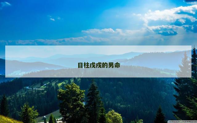 日柱戊戌的男命