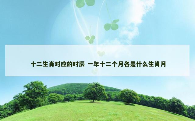 十二生肖对应的时辰 一年十二个月各是什么生肖月