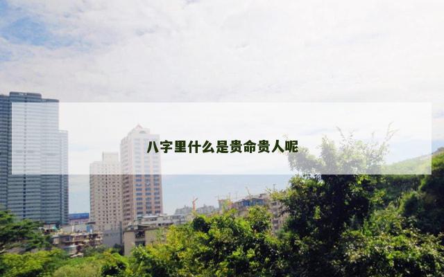 八字里什么是贵命贵人呢