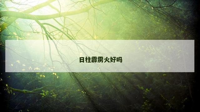 日柱霹雳火好吗