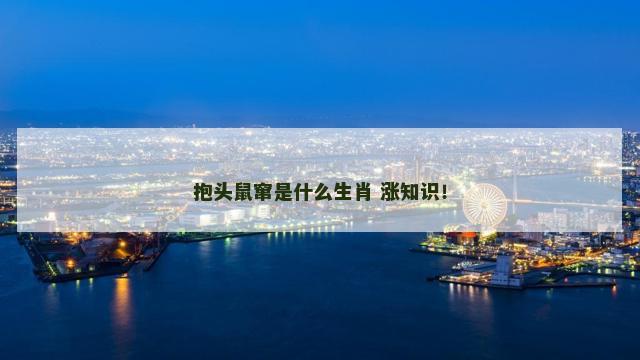 抱头鼠窜是什么生肖 涨知识！