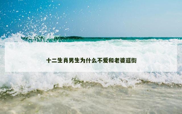 十二生肖男生为什么不爱和老婆逛街