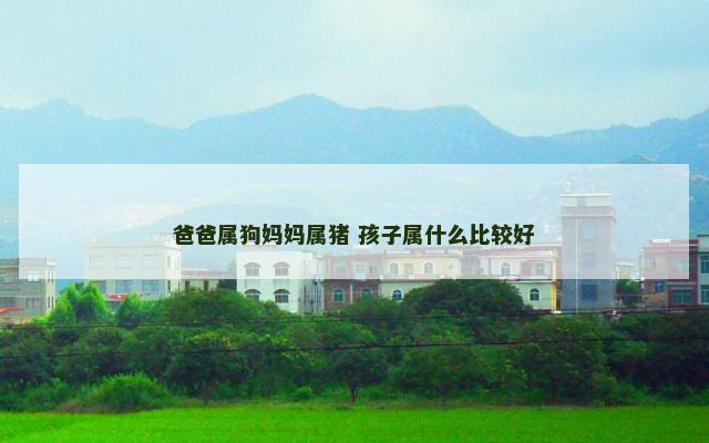 爸爸属狗妈妈属猪 孩子属什么比较好