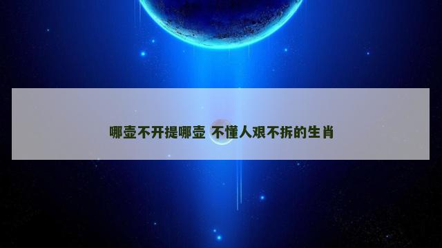 哪壶不开提哪壶 不懂人艰不拆的生肖 哪壶不开提哪壶 不懂人艰不拆的生肖