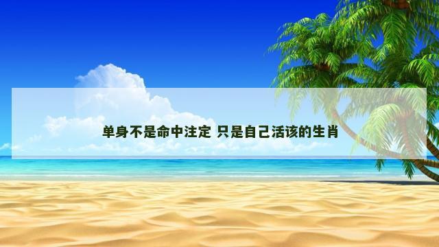 单身不是命中注定 只是自己活该的生肖