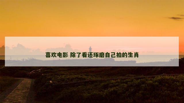 喜欢电影 除了看还琢磨自己拍的生肖