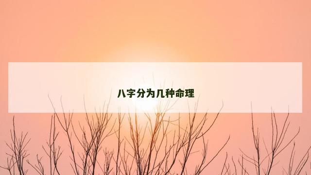 八字分为几种命理