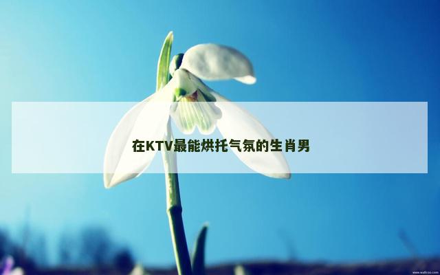 在KTV最能烘托气氛的生肖男