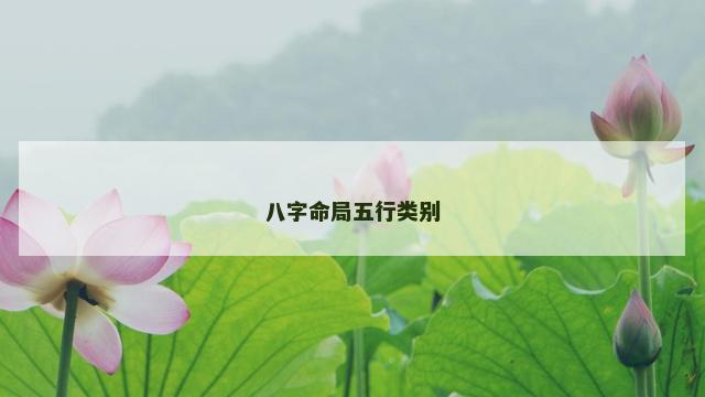 八字命局五行类别