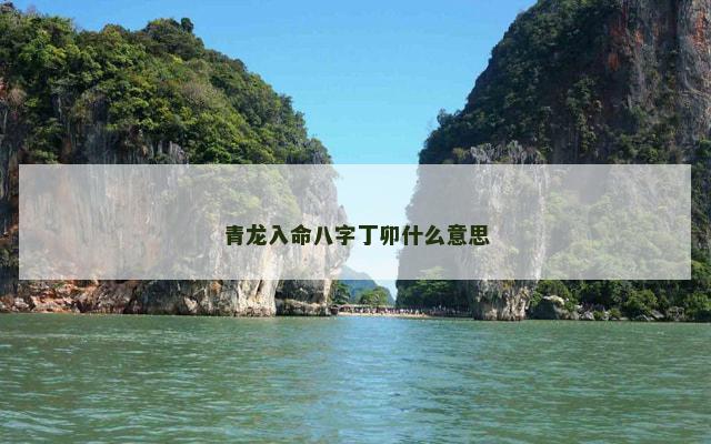 青龙入命八字丁卯什么意思