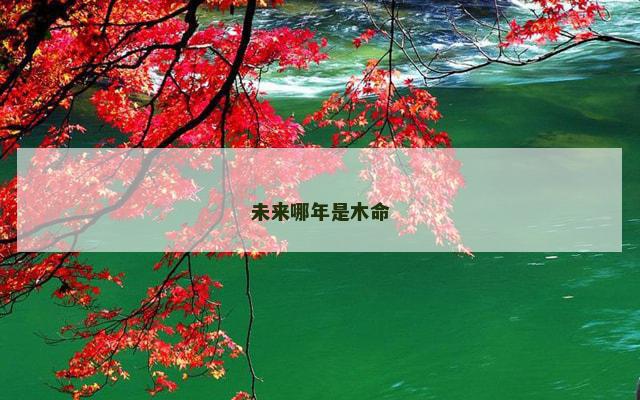 未来哪年是木命
