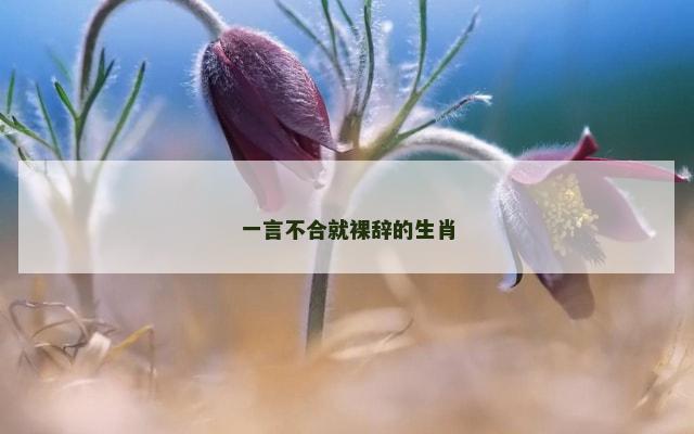 一言不合就裸辞的生肖