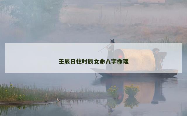壬辰日柱时辰女命八字命理